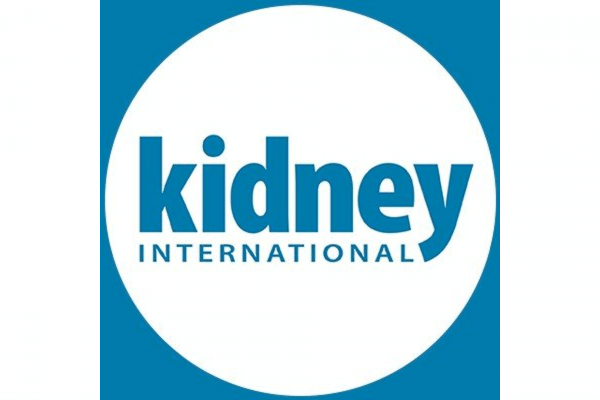 Our work on kidney imaging is featured on the cover of Kidney International